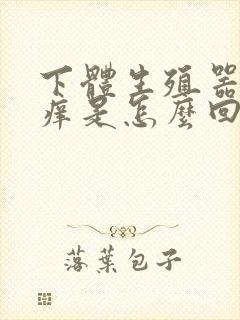 下体生殖器里面痒是怎么回事