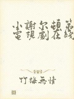 小谢尔顿第一季电视剧在线观看