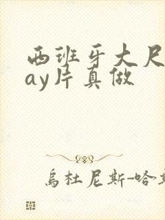 西班牙大尺度gay片真做