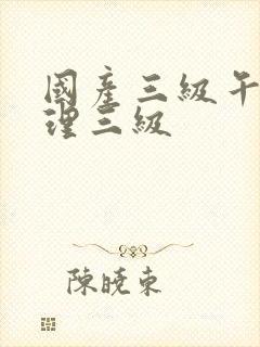 国产三级午夜伦理三级