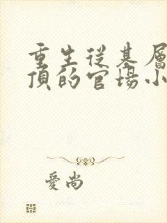 重生从基层到登顶的官场小说