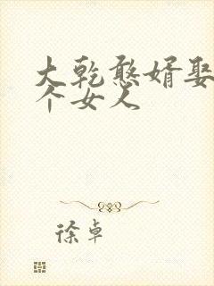 大乾憨婿娶了几个女人