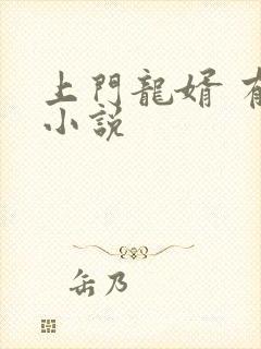 上门龙婿 有声小说封面