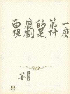 白鹿的第一部电视剧是什么封面