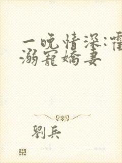 一晚情深:霍少溺宠娇妻