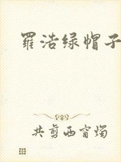 罗浩绿帽子封面