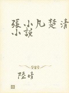 张小凡楚清璇的小说
