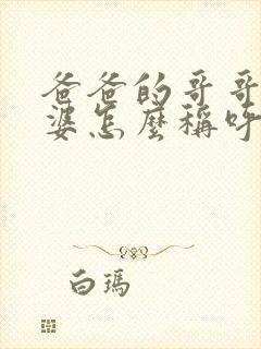 爸爸的哥哥的老婆怎么称呼