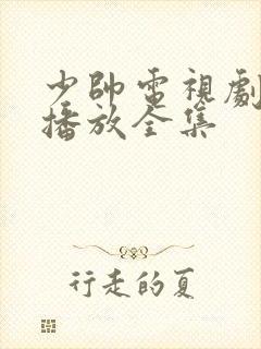 少帅电视剧免费播放全集