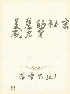 美丽的秘密电视剧免费