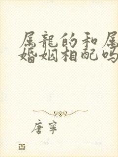 属龙的和属虎的婚姻相配吗