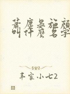 萧尘晏施颜小说叫什么名字