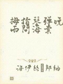 拇指琴弹晚夜微雨问海棠封面