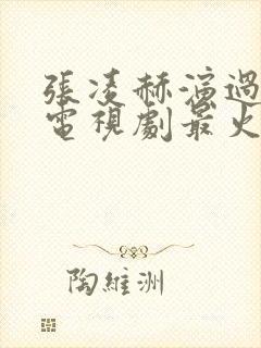 张凌赫演过什么电视剧最火封面