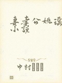 妻孝公姚瑶陈峰小说