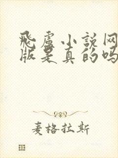 飞卢小说网破解版是真的吗