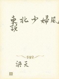 东北少妇风流小说