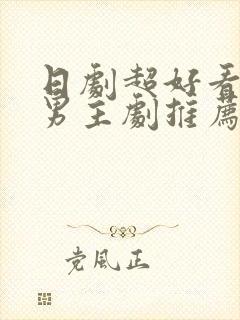 日剧超好看的双男主剧推荐