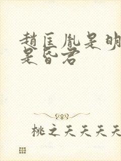 赵匡胤是明君还是昏君