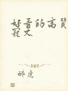 好看的高质量甜宠文