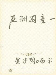 亚洲国产一区91