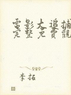 电影大追捕在线完整免费观看国语