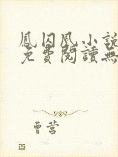 凤囚凰小说全文免费阅读无弹窗