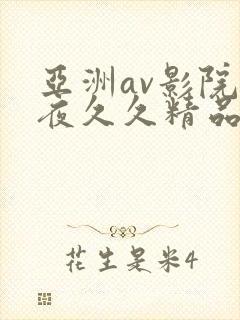 亚洲av影院午夜久久精品封面