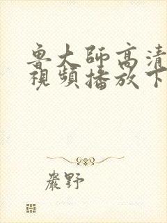 鲁大师高清在线视频播放下载封面