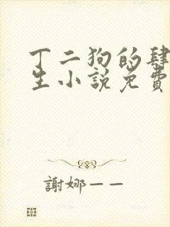 丁二狗的肆意人生小说免费阅读封面