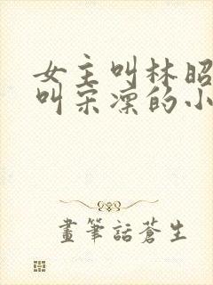 女主叫林昭男主叫宋凛的小说