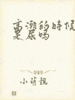 高潮的时候喷水是尿吗封面