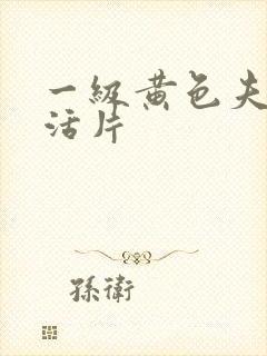 一级黄色夫妻生活片