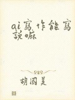 ai写作能写小说嘛封面