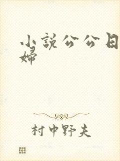 小说公公日儿媳妇封面