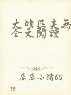 大明匹夫无弹窗全文阅读