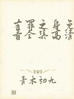 有罪之身免费观看全集高清在线播放