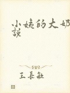 小姨的大奶子小说