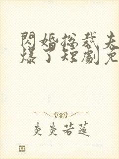 闪婚总裁夫人又爆了短剧免费观看全