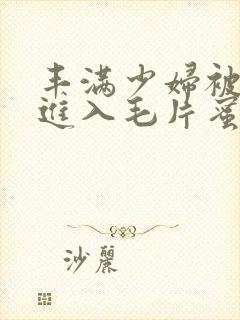 丰满少妇被猛烈进入毛片蜜桃封面