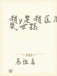 赵y是赵匡胤的几世孙封面