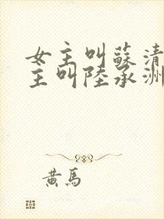 女主叫苏清欢男主叫陆承洲