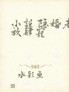 小说 隐婚老公放肆宠