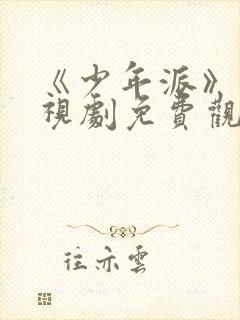 《少年派》1电视剧免费观看全集封面