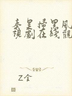 秦昊扫黑风暴电视剧在线观看免费完整版