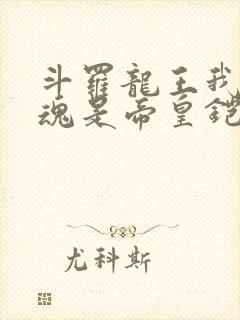 斗罗龙王我的武魂是帝皇铠甲笔趣阁