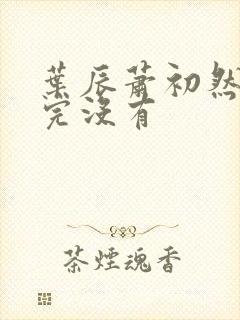 叶辰萧初然更新完没有