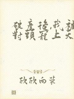 破产后,我被死对头宠上天小说听书