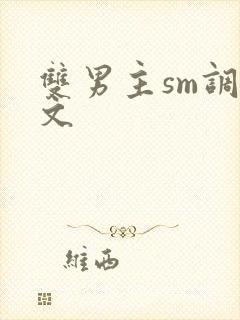 双男主sm调教文封面