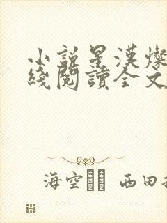 小说星汉灿烂在线阅读全文